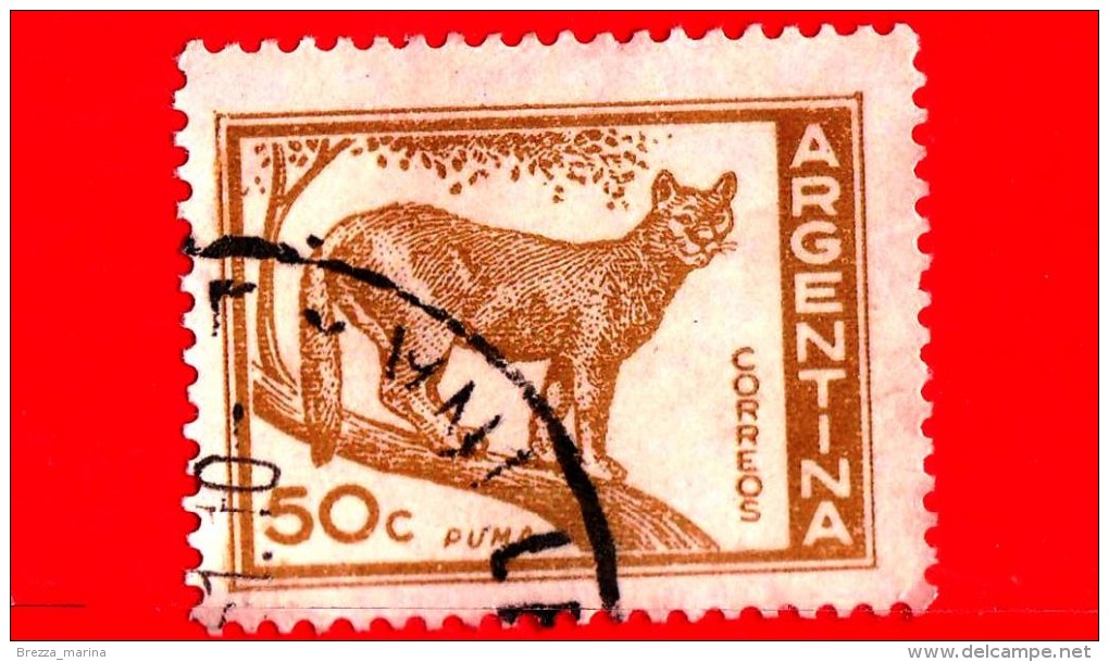 ARGENTINA - Usato - 1960 - Puma - Felis Concolor - 50 C - Usados