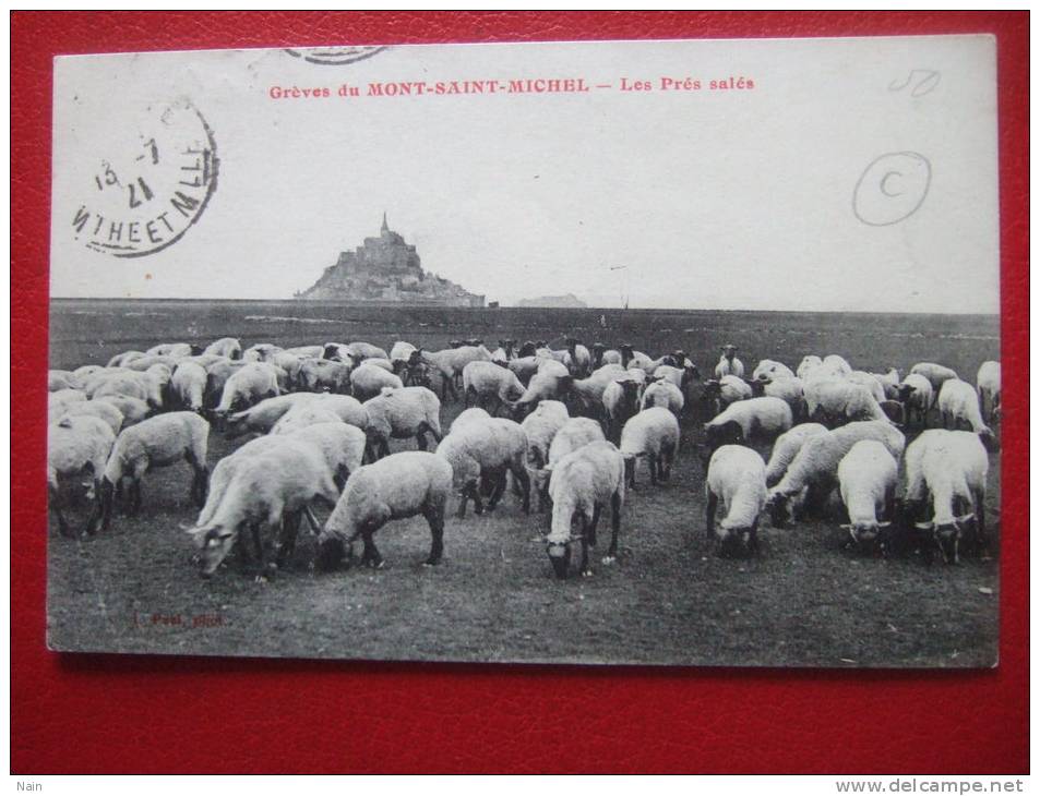 50- LE MONT SAINT MICHEL - LES PRES SALES " MOUTONS " - Le Mont Saint Michel