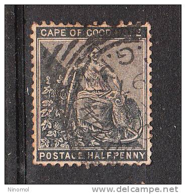 Capo Di Buona Speranza   -   1885.  Allegoria  ½ Pence Grigio - Kaap De Goede Hoop (1853-1904)