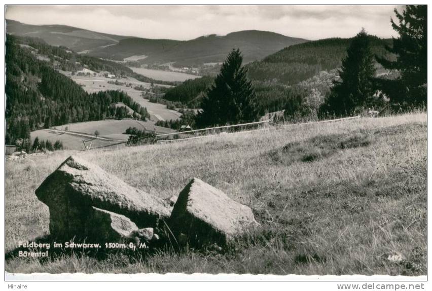 FELDBERG  BÄRENTAL   Très Bon état - Feldberg