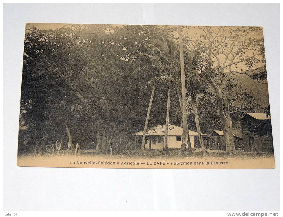 Carte Postale Ancienne : Nouvelle Caledonie Agricole : LE CAFE : Habitation Dans La Brousse - Neukaledonien