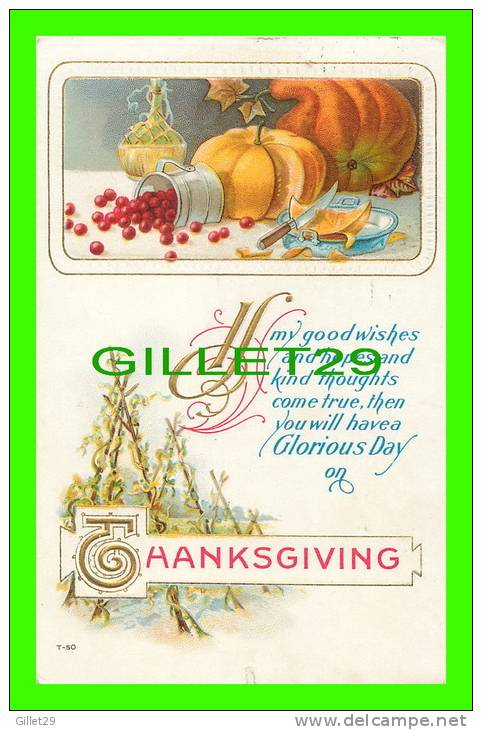 THANKSGIVING -  PUMPKIN &amp; CRANBERRY - EMBOSSED - TRAVEL IN 1914 - HENDERSON INC - - Thanksgiving