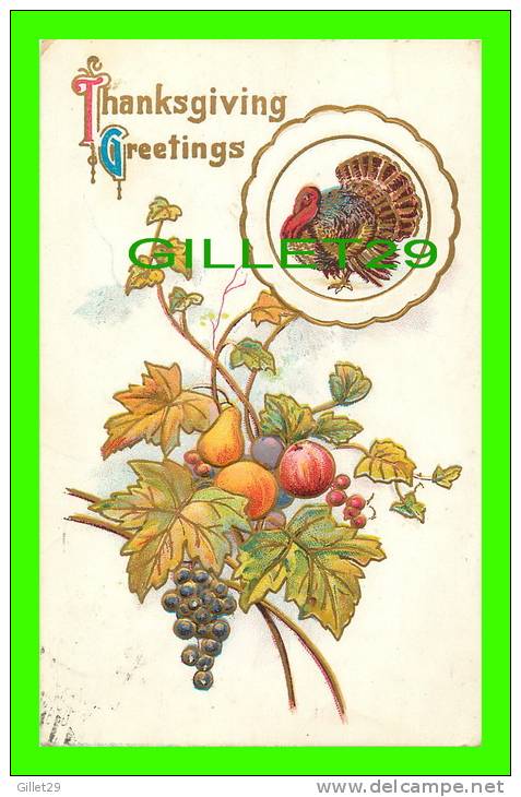 THANKSGIVING - TURKEYM, FRUIT, LEAF - EMBOSSED - TRAVEL IN 1911 - - Thanksgiving