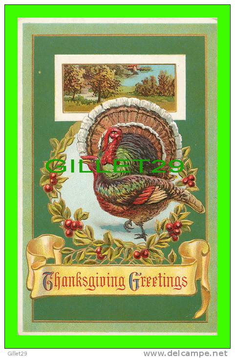 THANKSGIVING GREETINGS  - TURKEYS - EMBOSSED - WRITTEN  IN 1912 -  117 B  - - Giorno Del Ringraziamento