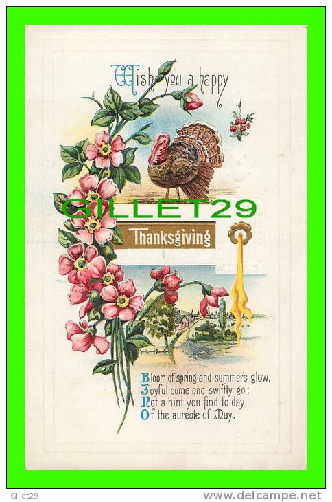 HAPPY THANKSGIVING  -TURKEY &amp; FLOWERS  - EMBOSSED - SERIES 117 C  - - Thanksgiving