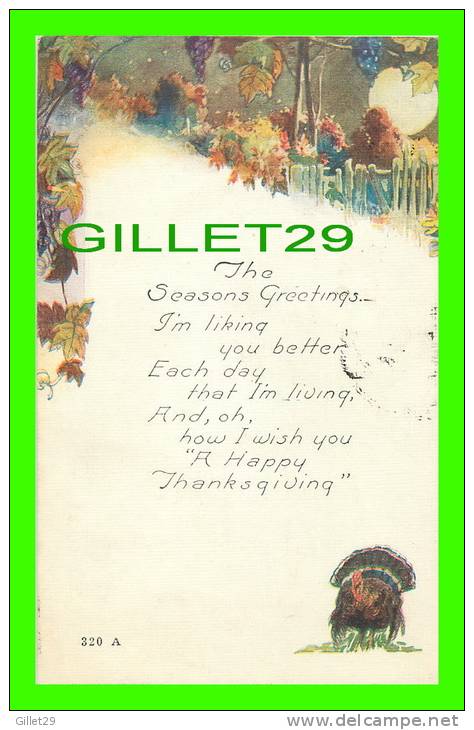 THANKSGIVING  - TURKEY  - TRAVEL IN 1919 - - Thanksgiving