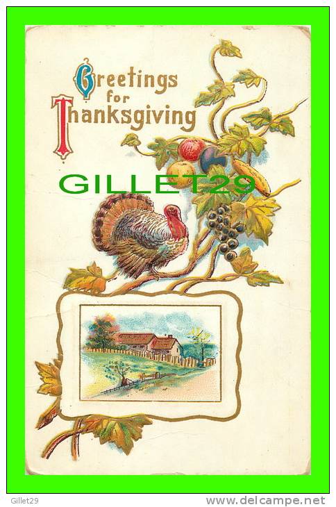GREETINGS FOR THANKSGIVING  -TURKEY - FRUITS -  WRITTEN - - Thanksgiving