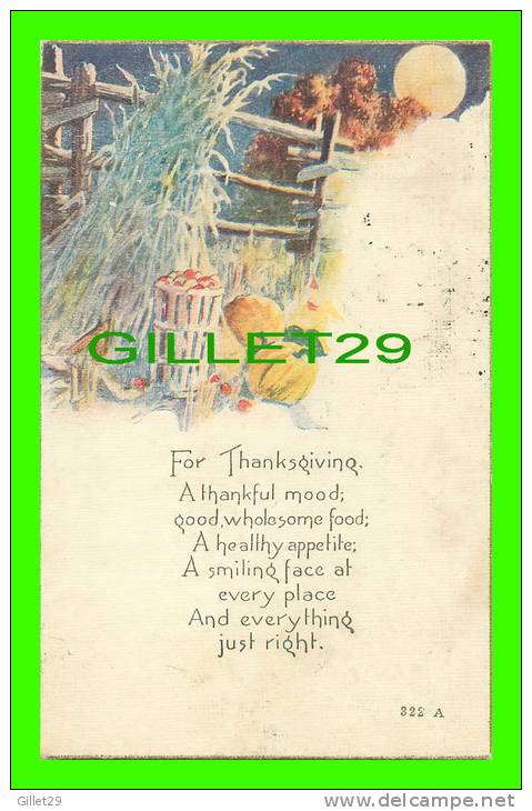 THANKSGIVING -  PUMPKIN, APPLES  - TRAVEL IN 1919 - - Giorno Del Ringraziamento