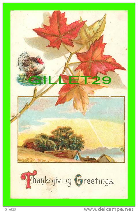 THANKSGIVING  GREETINGS - TURKEY - LEAF - WRITTEN - - Thanksgiving