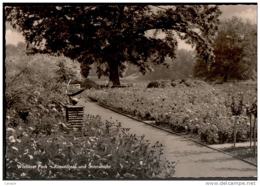 AK Wörlitz, Wörlitzer Park, Gel, 1962 - Woerlitz