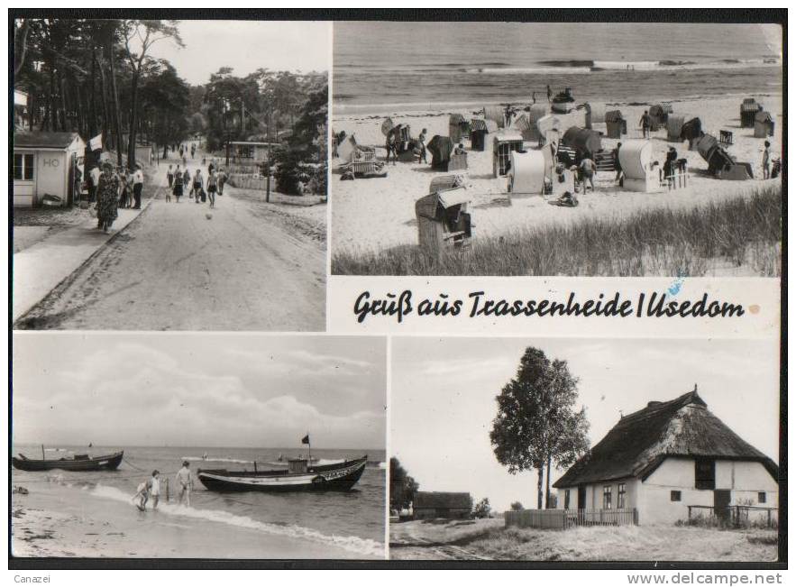 AK Trassenheide/Usedom, Gel, 1973 - Usedom