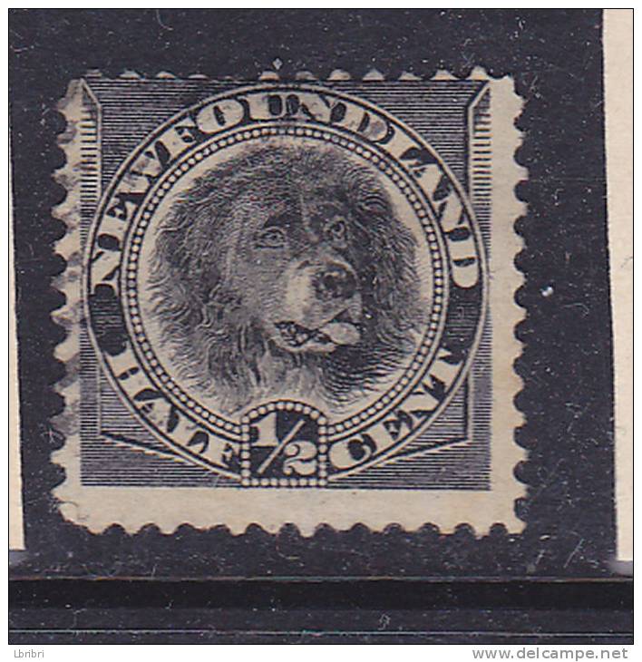 CANADA TERRE NEUVE N°44 1/2 NOIR CHIEN OBL - 1908-1947