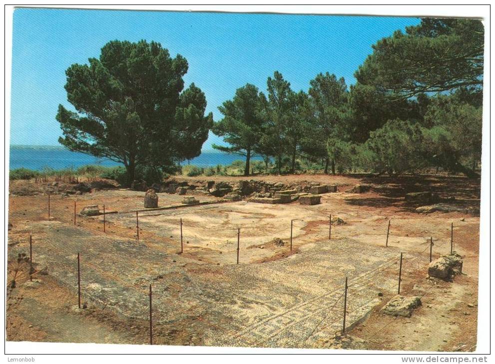 Italy, Marsala, Mothia Island, Mosaics, 1987 Used Postcard [12229] - Marsala