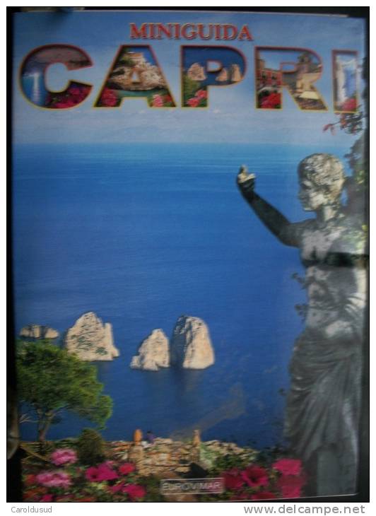 Cp Italie Capri Lot +- 15 Photos Dell Isola Di Capri + 1 X Photo Arco + 1x Carnet  Livret Multi + Mini Guida Voi Details - Carpi