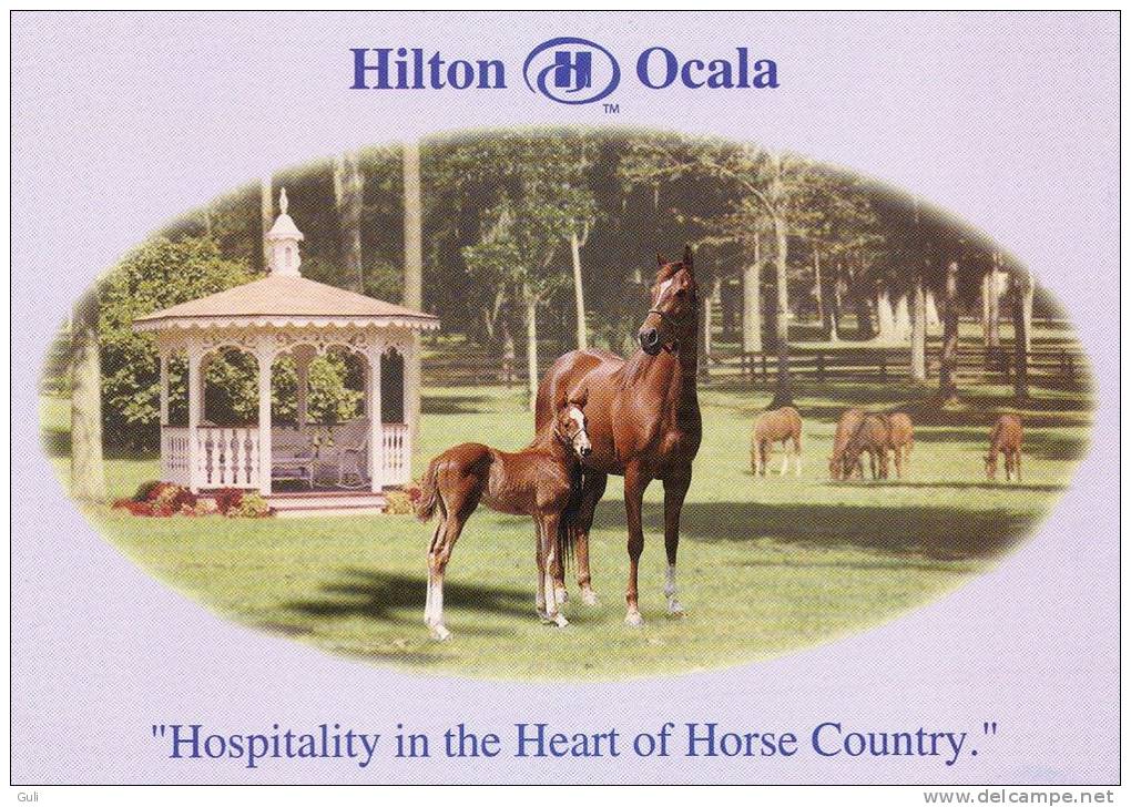 Etats-Unis-Florida-HILTON OCALA "Hospitality In The Heart Of Horse Country" (horses Chevaux) Ocala´s Only Themed Hotel - Ocala