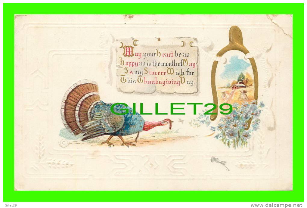 THANKSGIVING  DAY -  TURKEY - WICH BONE - TRAVEL IN 1911 - EMBOSSED - SERIES M. 132 - - Thanksgiving