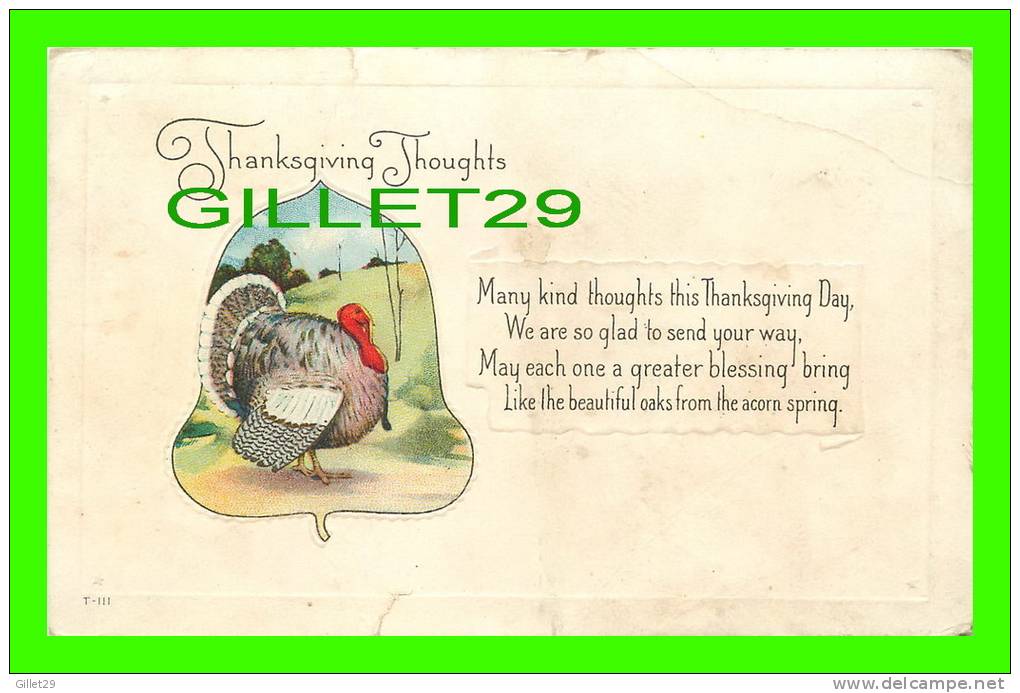 THANKSGIVING  THOUGHTS -  TURKEY - TRAVEL IN 1919 - EMBOSSED - - Thanksgiving