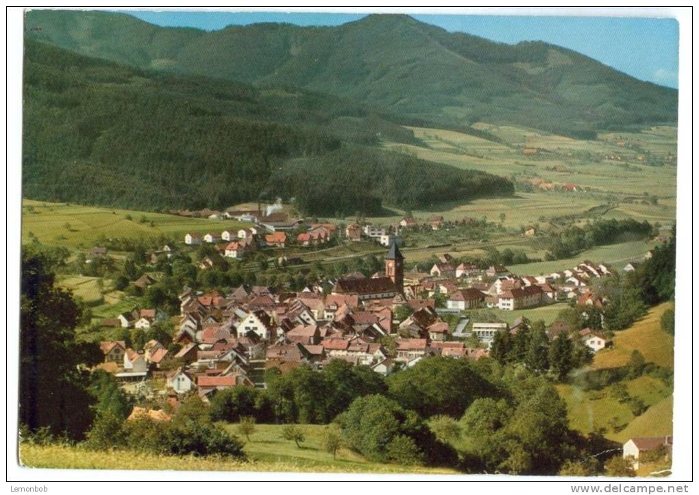Germany, ELZACH, Im Schwarzwald, 1976 Used Postcard [12261] - Elzach