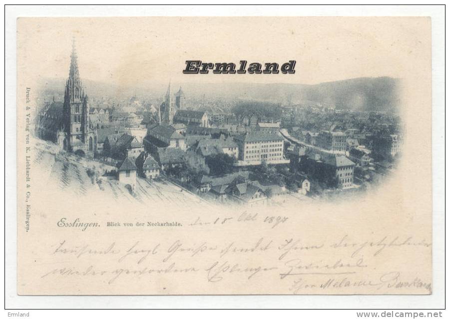 Esslingen 1897, Blick Von Der Neckarhalde - Esslingen