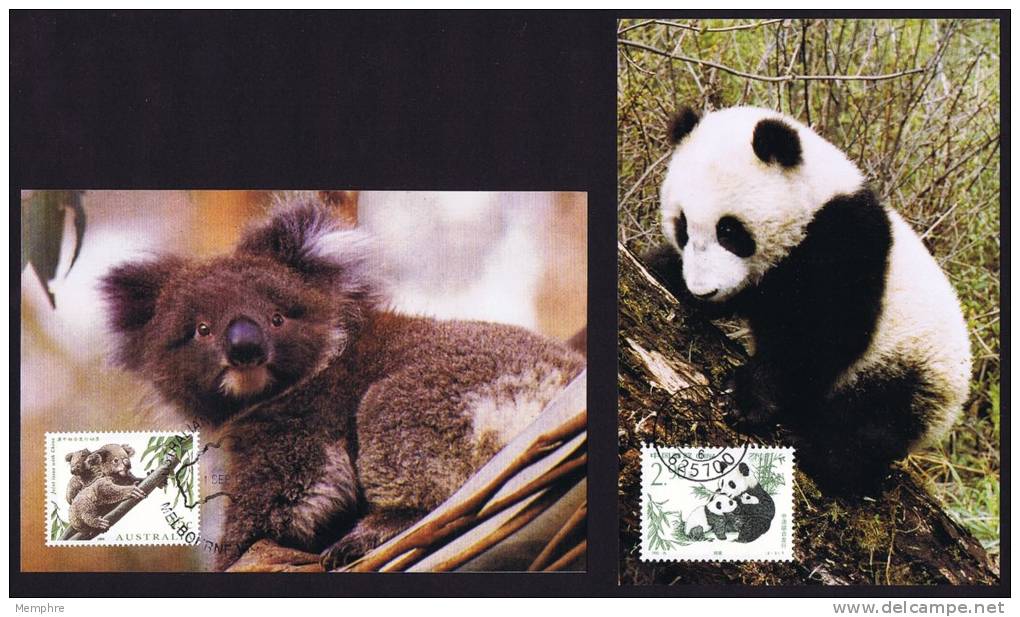 1995  Emission Conjointe Avec L´Australie Panda Et Koala - Maximumkaarten