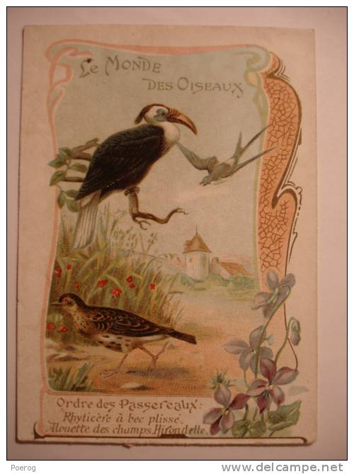 CHROMO - RHYTICERE A BEC PLISSE ALOUETTE HIRONDELLE - CARTE CHOCOLOAT D'AIGUEBELLE - LE MONDE DES OISEAUX - 7X10 - Aiguebelle