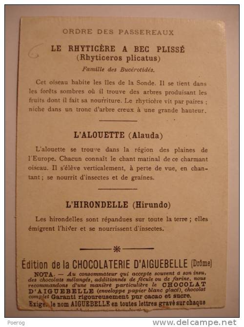CHROMO - RHYTICERE A BEC PLISSE ALOUETTE HIRONDELLE - CARTE CHOCOLOAT D'AIGUEBELLE - LE MONDE DES OISEAUX - 7X10 - Aiguebelle