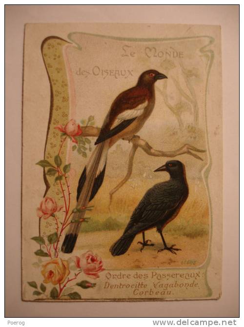 CHROMO - DENTROCITTE VAGABONDE - CORBEAU - CARTE CHOCOLOAT D'AIGUEBELLE - LE MONDE DES OISEAUX - 7X10 - Passereaux - Aiguebelle