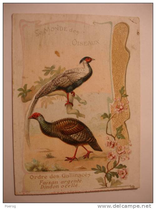 CHROMO - FAISAN ARGENTE - DINDON OCELLE - CARTE CHOCOLOAT D'AIGUEBELLE - LE MONDE DES OISEAUX - 7X10 - Gallinacés - Aiguebelle