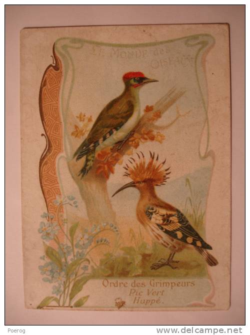 CHROMO - PIC VERT HUPPE - CARTE CHOCOLOAT D'AIGUEBELLE - LE MONDE DES OISEAUX - 7X10 - Ordre Des Grimpeurs - Aiguebelle