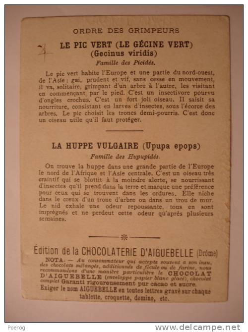 CHROMO - PIC VERT HUPPE - CARTE CHOCOLOAT D'AIGUEBELLE - LE MONDE DES OISEAUX - 7X10 - Ordre Des Grimpeurs - Aiguebelle