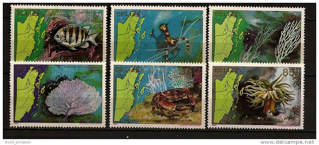 Belize 1982 N° 603 / 8 ** Indépendance, Faune Marine, Corail, Abudefduf, Stenopus, Condylactis, Plexaura, Carpilius - Belize (1973-...)