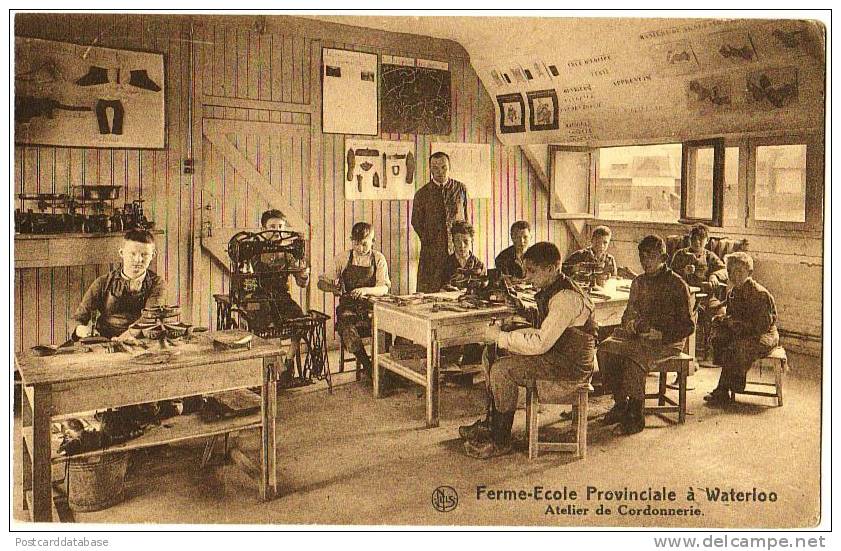 Ferme-Ecole Provinciale à Waterloo - Atelier De Vannerie - & School - Autres & Non Classés