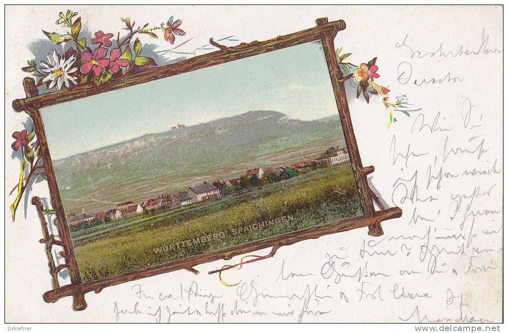 Spaichingen Mit Dreifaltigkeitsberg (aufgeklebtes Bild), LITHOGRAPHIE: Astrahmen, Wiesenblumen, 1901 - Tuttlingen