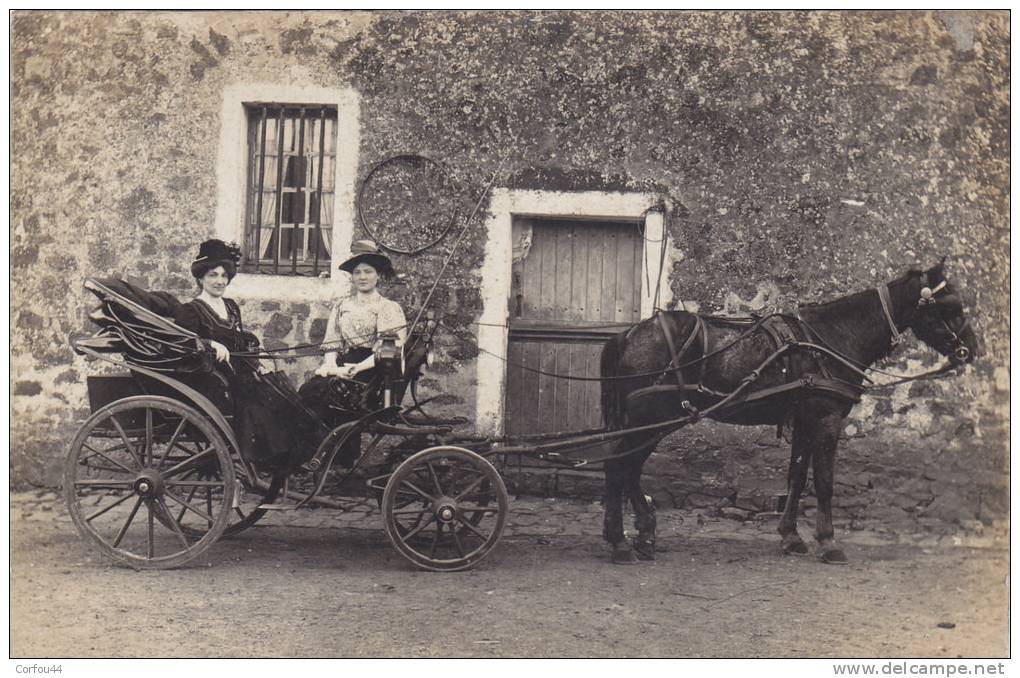 LOUE : Attelage De Mme Baet De St Denis - Superbe Carte Photo! - Loue