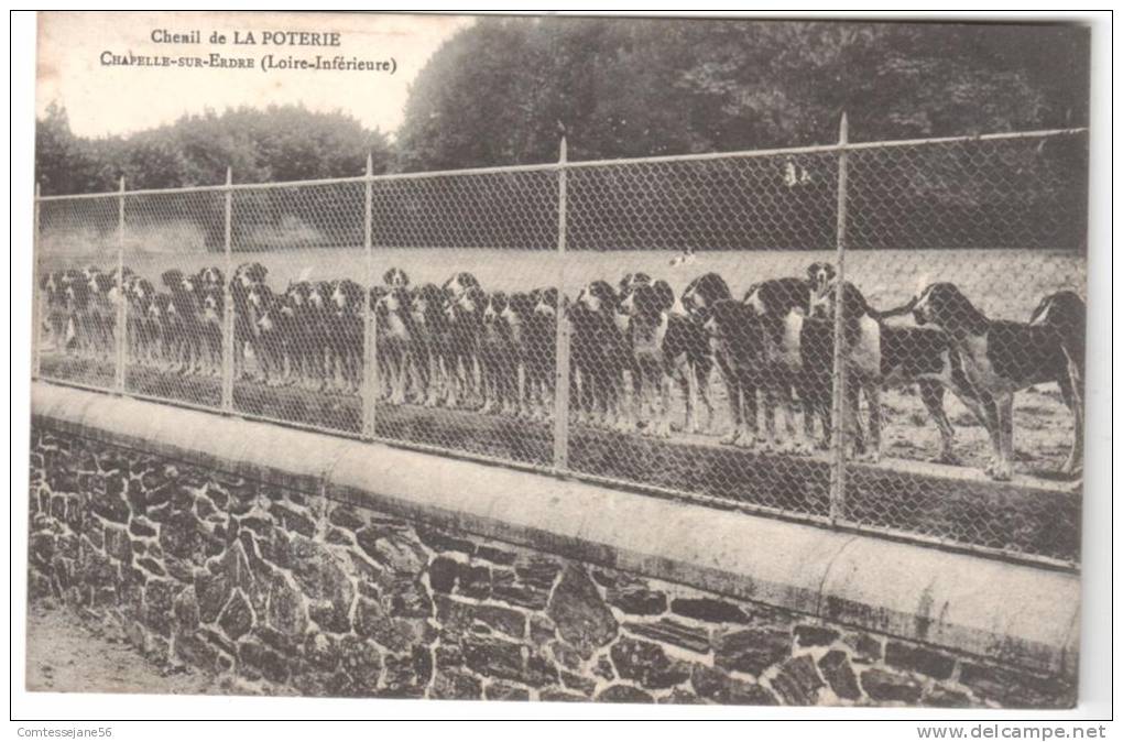 Chenil De La Potterie - Chapelle Sur Erdre - Jagd