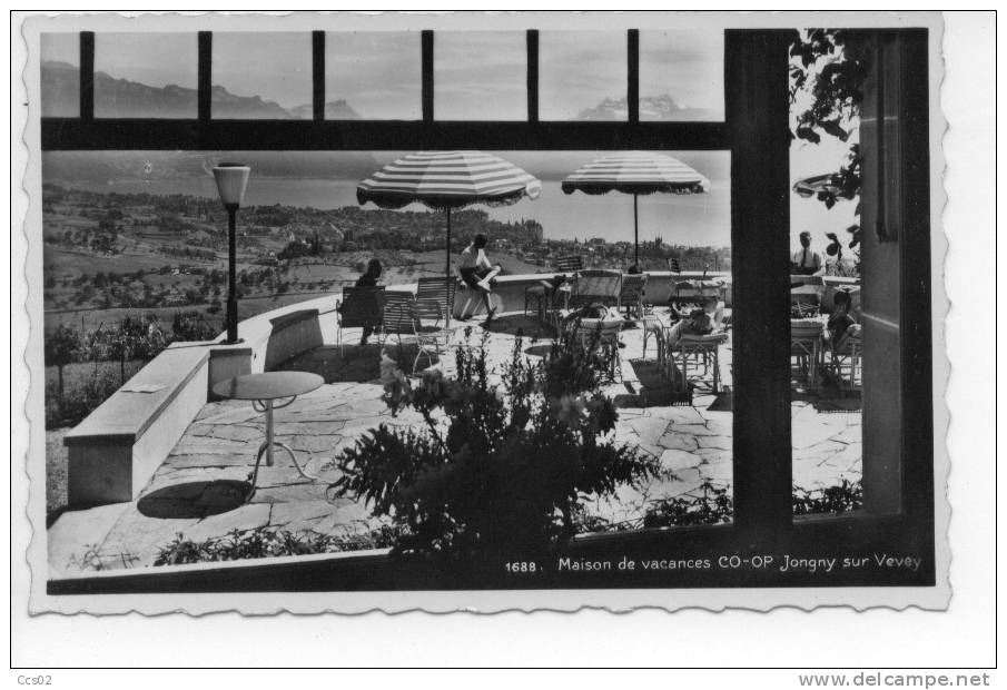 Maison De Vacances COOP Jongny Sur Vevey 1954 - Jongny