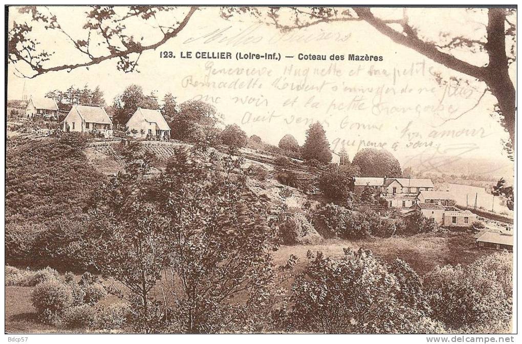 44 - Loire Atlantique - LE CELLIER - Coteau Des Mazères - Format  9  X  14 - Edit  F . Chapeau - Nantes - Le Cellier
