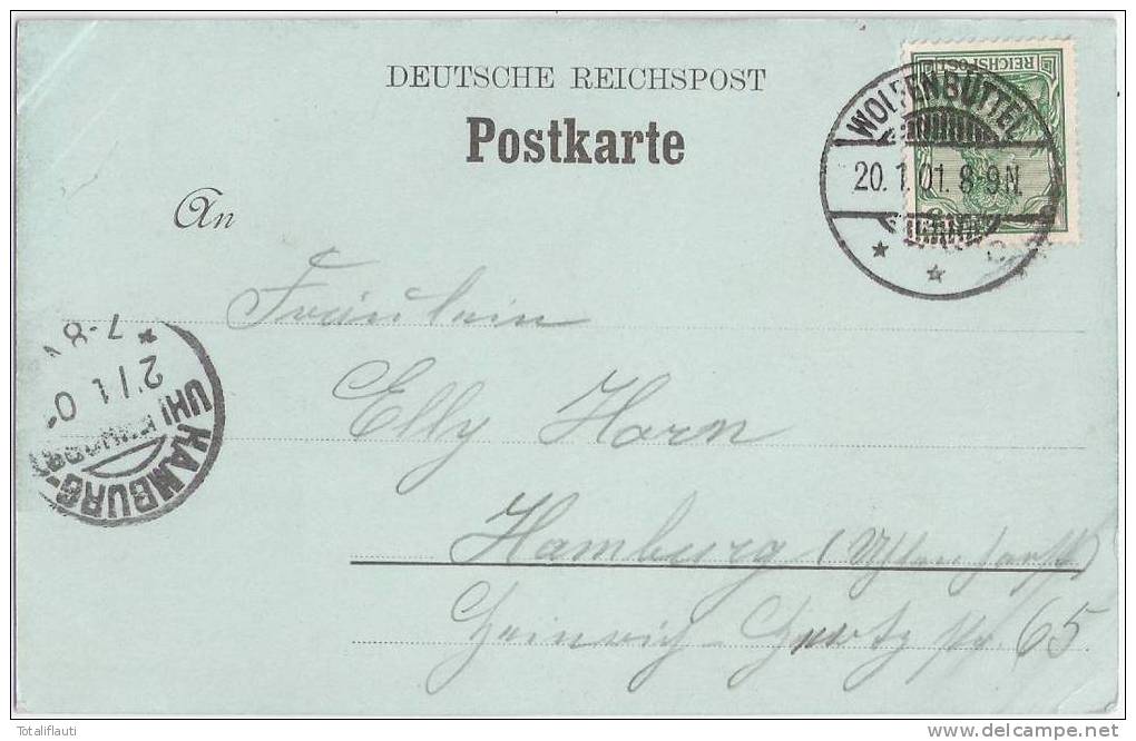 Gruss Vom Sternhaus Bei Wolfenbüttel Mondscheinkarte 20.1.1901 Gelaufen - Wolfenbuettel