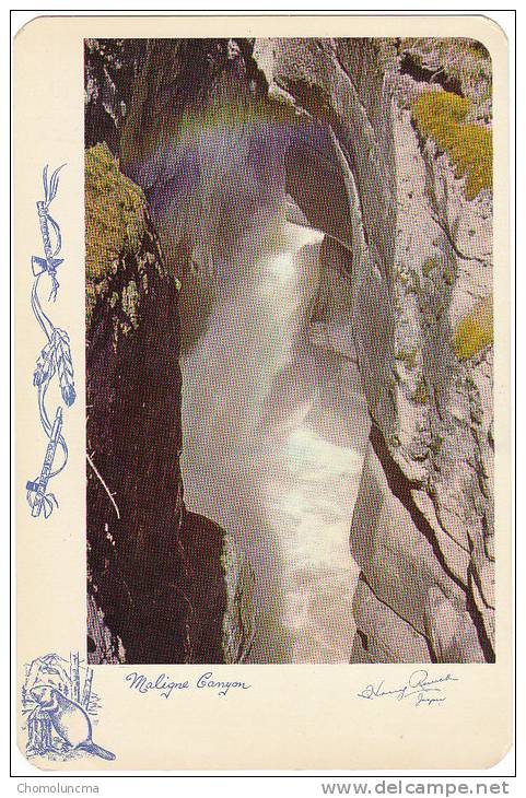 MALIGNE RIVER CANYON JASPER NATIONAL PARK ROCKY MOUNTAINS ALBERTA Vintage Harry Rowed Postcard Castor Beaver Tomahawk - Jasper
