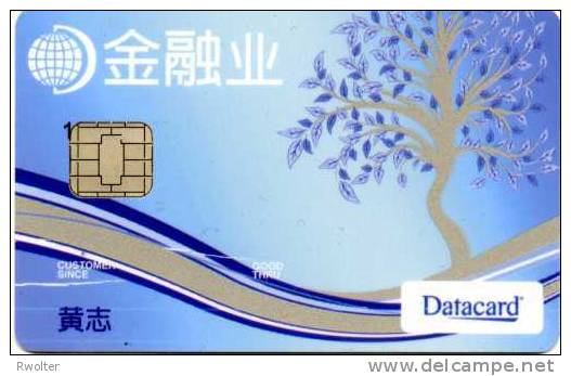 @+ Carte à Puce Démonstration - Datacard Asia ( Chine Ou Japon ?) - Ausstellungskarten