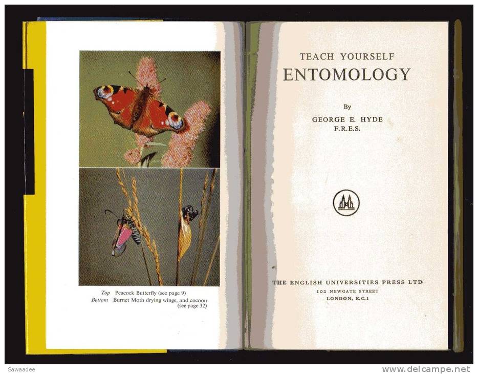 LIVRE - TEACH YOURSELF BOOKS - ENTOMOLOGY - GEORGE E. HYDE - 1961 - 158 PAGES - NOMBREUSES ILLUSTRATIONS - Andere & Zonder Classificatie