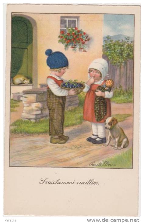 CPA  Pauli Ebner   Fraichement Cueillies  Enfants  Corbeille Fruits,bonnet,poupée,chat ,chien DAGB  Selco - Ebner, Pauli