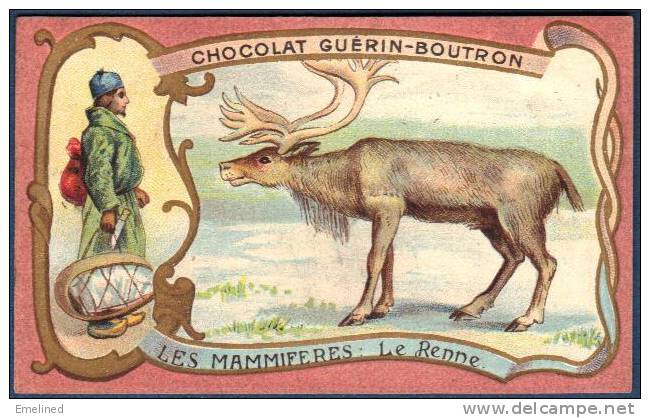 Chromo Chocolat Guerin-Boutron Les Mammifères Le Renne - Guérin-Boutron