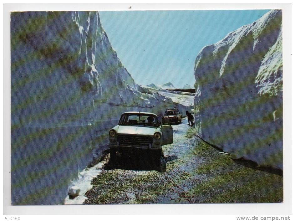 Ref 97  : CPSM Photo E. GRANGE Valloirte Route Du Galibier Gros Plan Peugeot 404 COngères - Autres & Non Classés