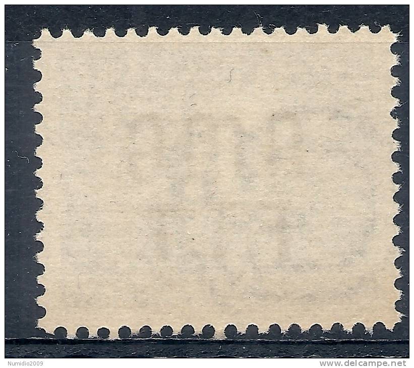 1947-49 TRIESTE A SEGNATASSE 10 LIRE MNH ** LUSSO - RR8816 - Taxe