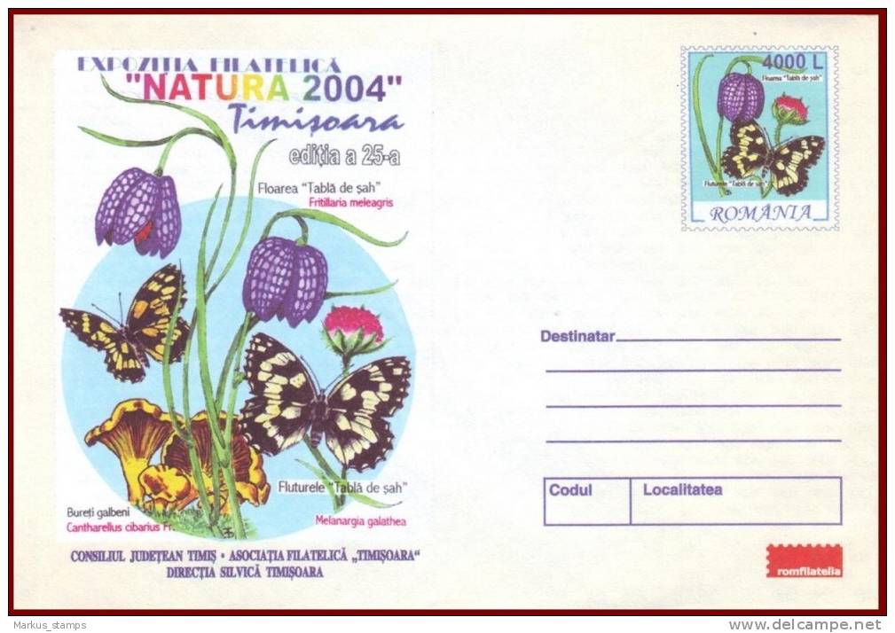 Romania 2004 - Environment & Fauna Protection 3 Stationery Covers, Butterfly, Woodpecker, Mushrooms, Bird - Ganzsachen