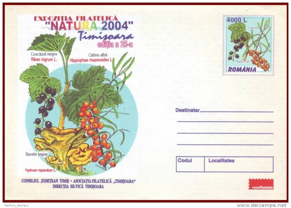 Romania 2004 - Environment & Fauna Protection 3 Stationery Covers, Butterfly, Woodpecker, Mushrooms, Bird - Entiers Postaux