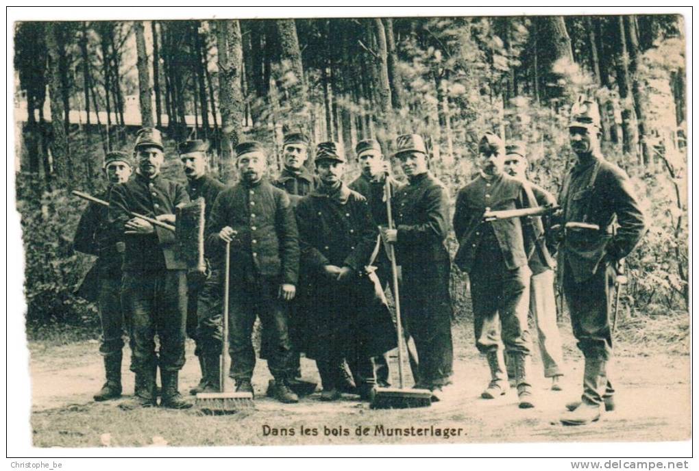 AK Munster Munsterlager, Dans Le Bois De Münsterlager (pk5935) - Munster