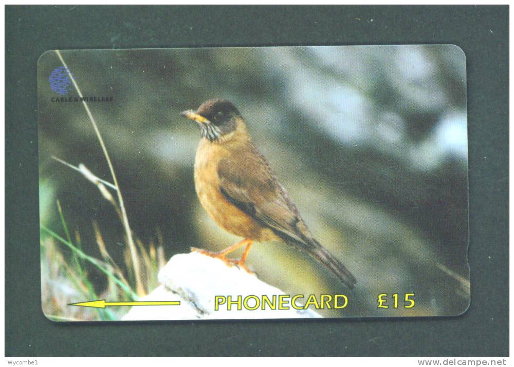 FALKLAND ISLANDS  -  Magnetic Phonecard As Scan - Falkland