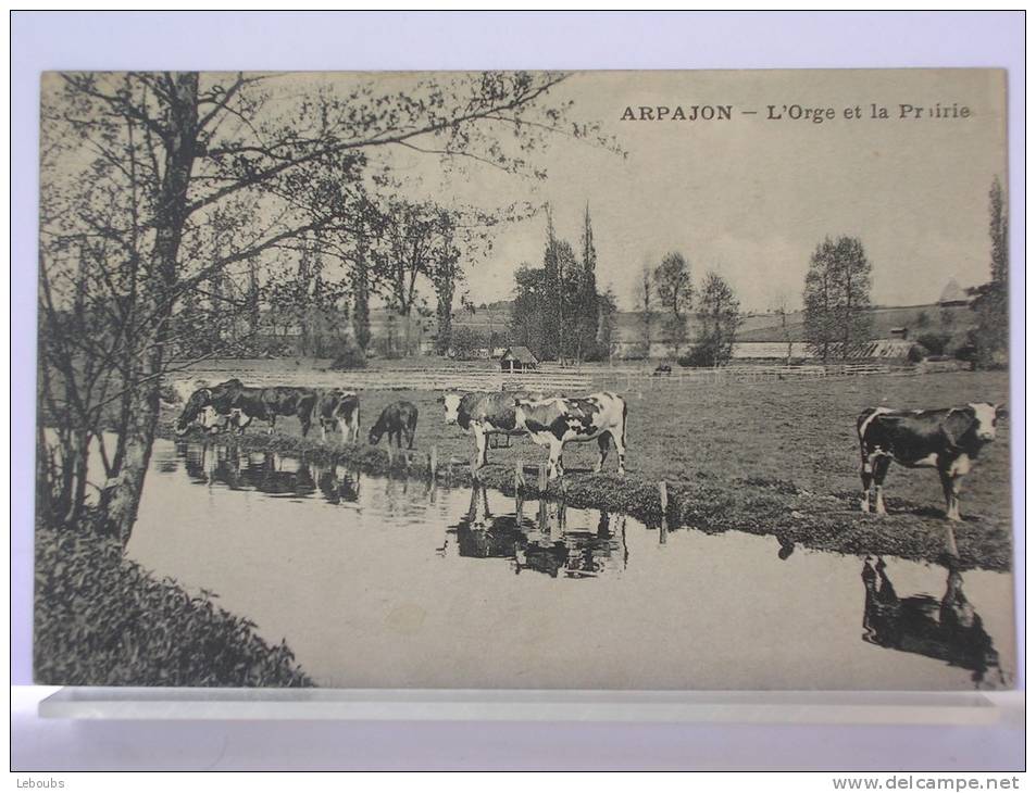 ARPAJON (91) - L´ ORGE ET LA PRAIRIE - Arpajon